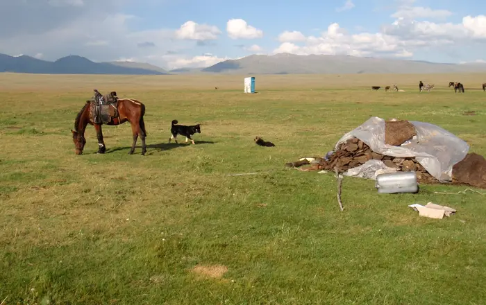 Lake Song Kol  horse, dog and dunny   panoramio