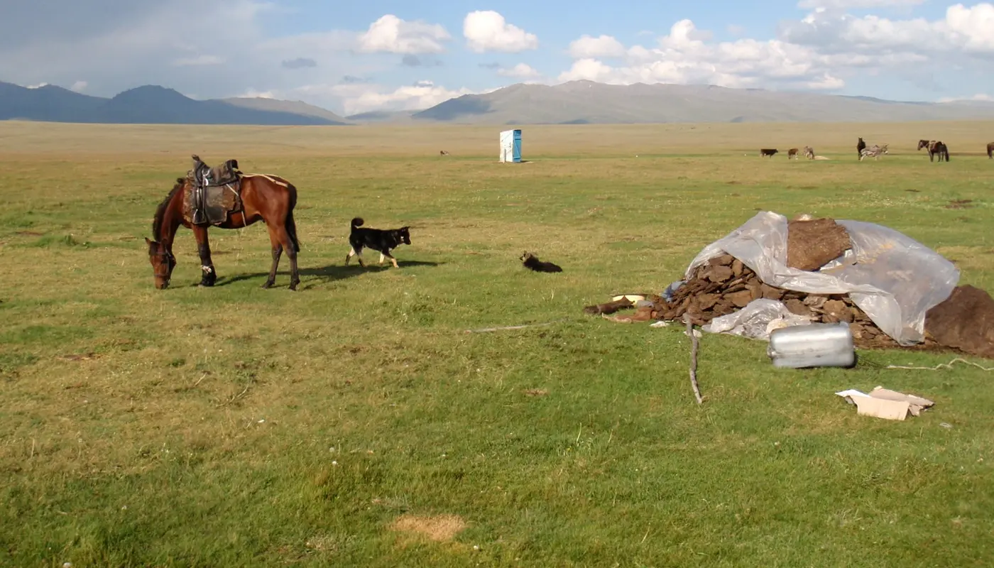 Lake Song Kol horse, dog and dunny panoramio